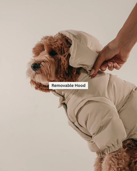 The Modular Puffer