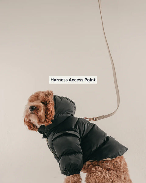 The Modular Puffer