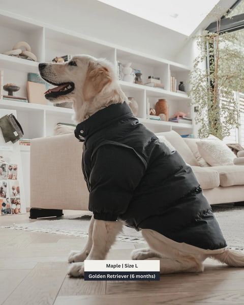 The Modular Puffer
