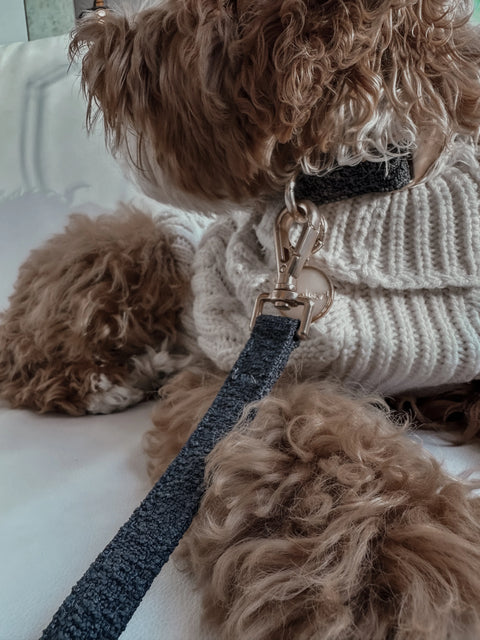 Boucle Lead