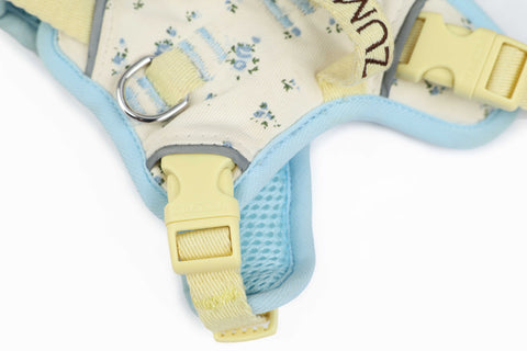 Chelsea Everyday Harness