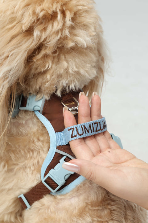 Chelsea Everyday Harness