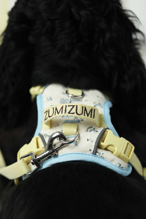 Chelsea Everyday Harness