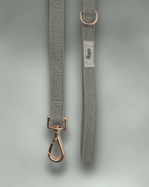 Boucle Lead