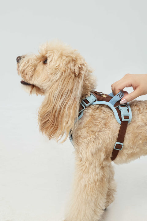 Chelsea Everyday Harness