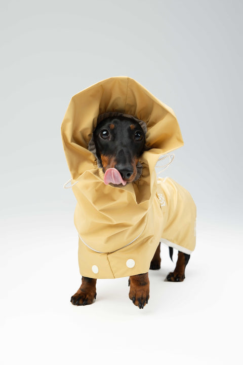 Heath Waterproof Windbreaker