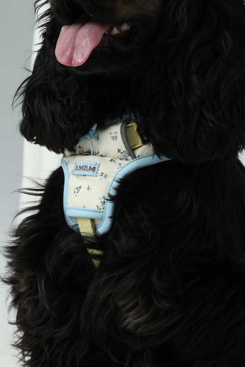 Chelsea Everyday Harness