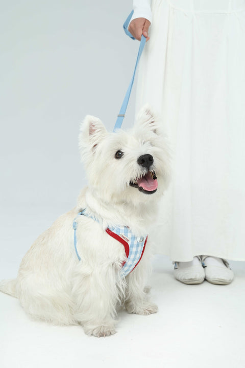 Blue Bliss Gingham Harness