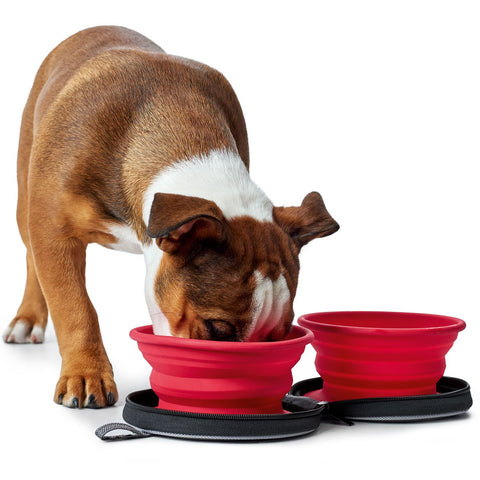 Silicone travel bowl with bag