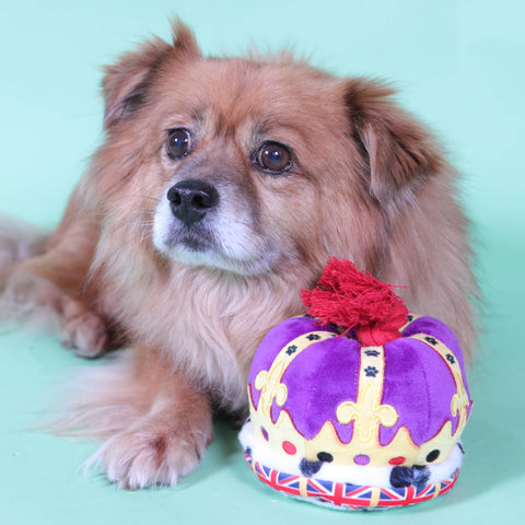 British Crown Plush & Rope Dog Toy