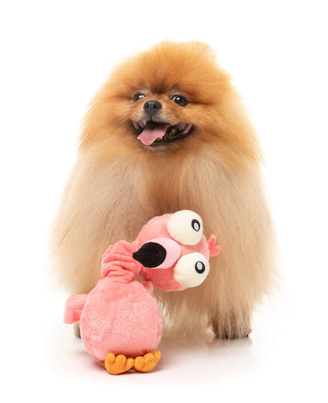 Neckole the Flamingo
