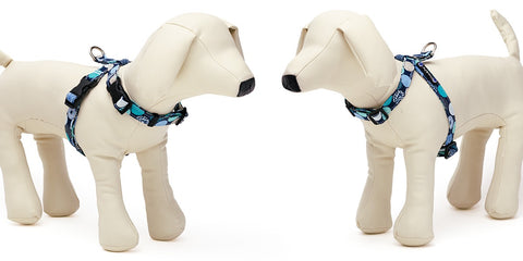 Balloon Dot Neck Harness
