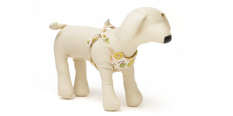 Fleurir Body Harness