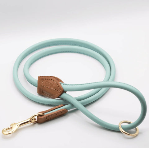 D&H Rolled Leather Lead
