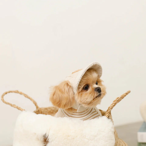 Teddy Bear CAP