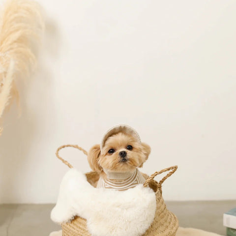 Teddy Bear CAP