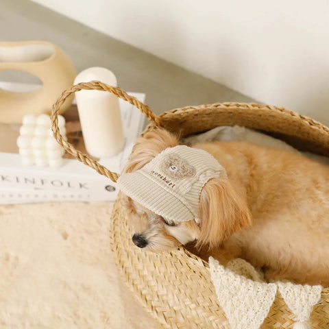Teddy Bear CAP