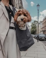 Boucle Carrier