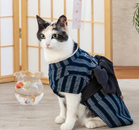 Navy YUKATA Costume