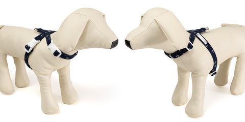 Ripple Marine Neck Harness