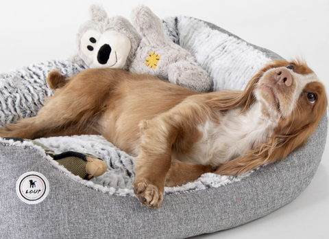 Loup Bed