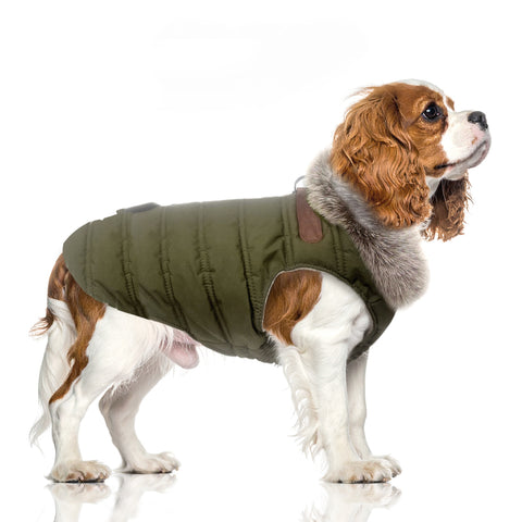 Aubin Harness Down Jacket