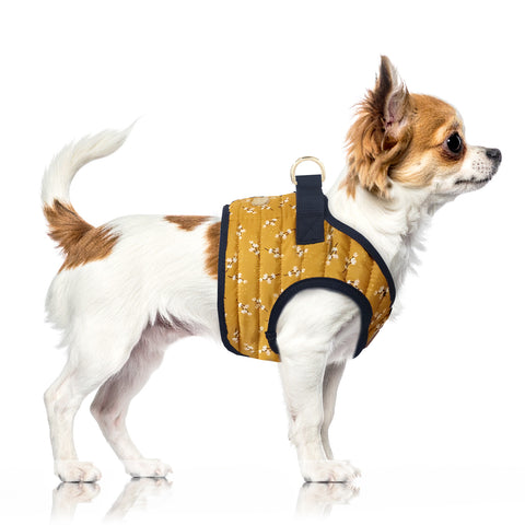 Emmy Harness