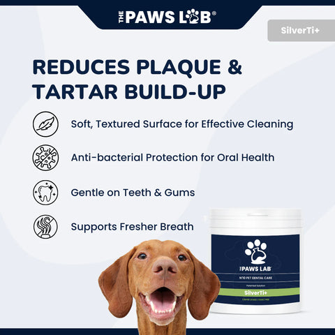 N'10 Pet Dental Care