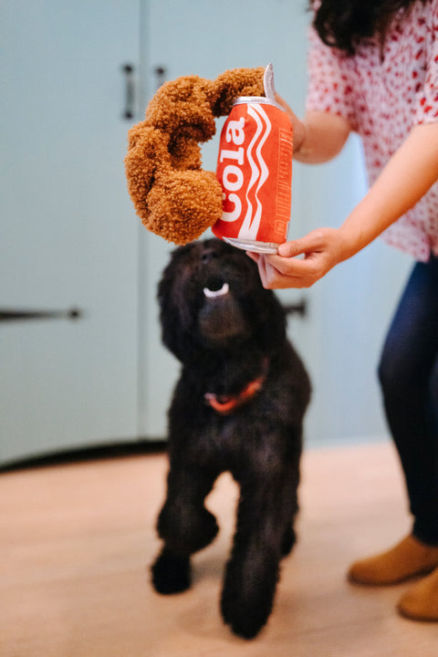 Good Boy Cola