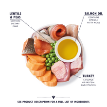 Turkey & Trout Dry Food for Senior Dogs