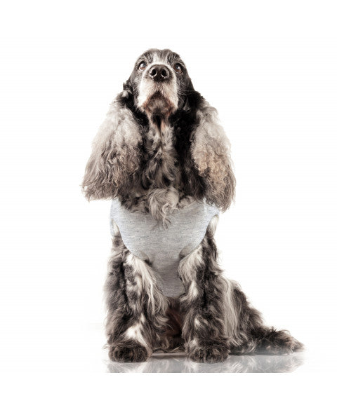 Alec Rockstar T-Shirt