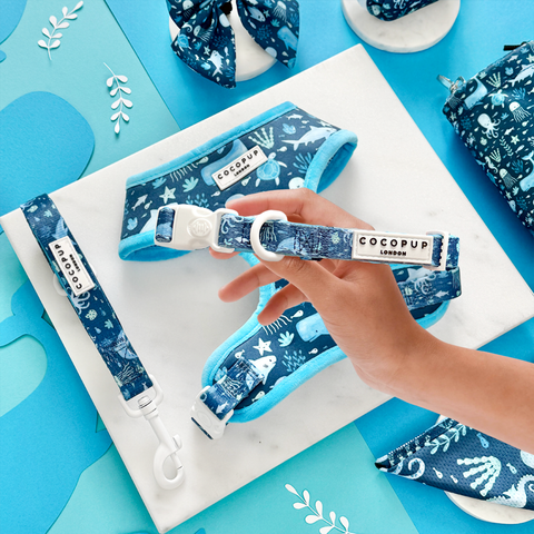 Sea Life Pawty COLLAR