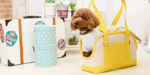 Ten Colour Carry Bag