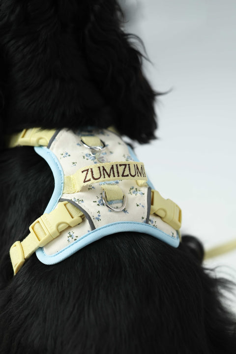 Chelsea Everyday Harness