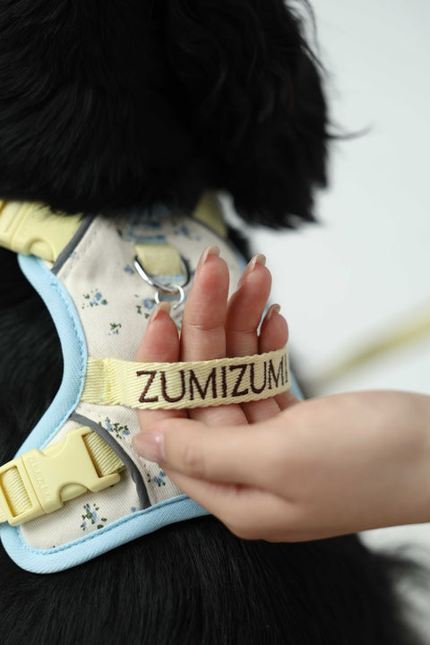 Chelsea Everyday Harness