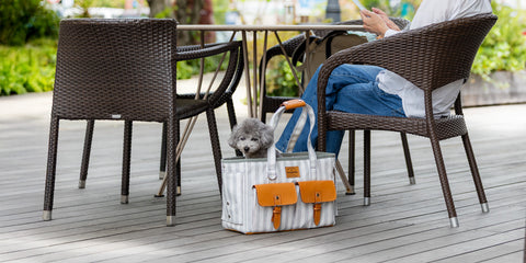London Stripe Carrier