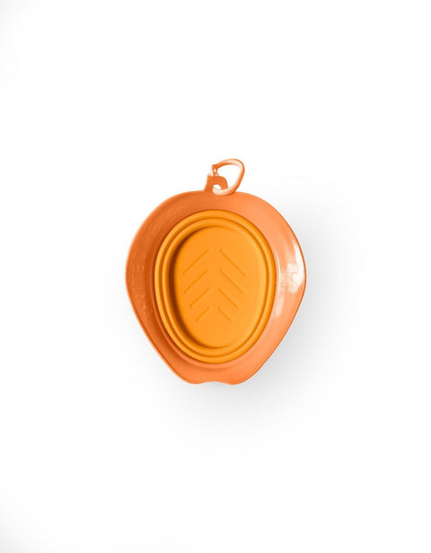 Leaf Collapsible Bowl