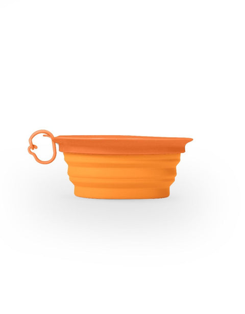 Leaf Collapsible Bowl