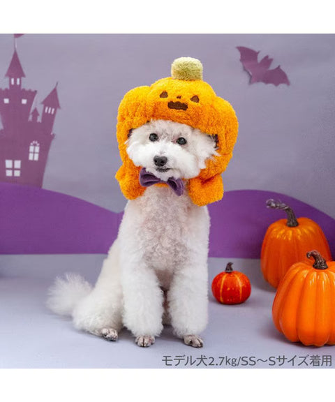 Halloween Pumpkin Hat