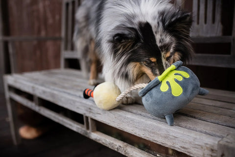 Howling Haunts Pups Potion