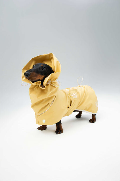 Heath Waterproof Windbreaker