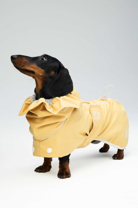 Heath Waterproof Windbreaker