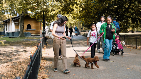 Join Our Autumn Dog Walk 🍂