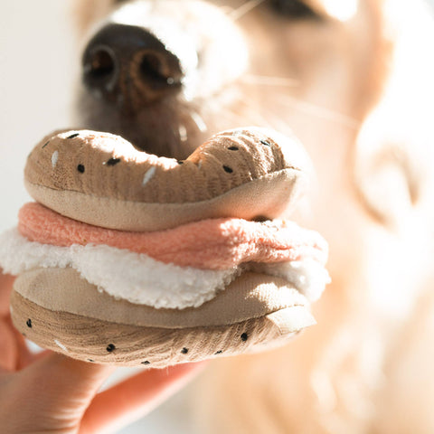 Bagel + Pickle Snuffle & Squeaky Dog Toy Set