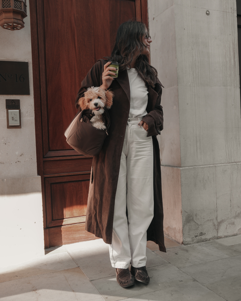 Puffer Dog Carrier Bag