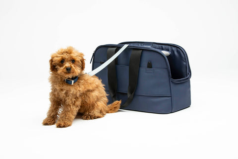 GUMI waterproof dog carrier