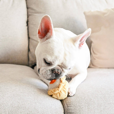 DIM SUM POP // ENRICHMENT DOG TOY // Squeaky Ball