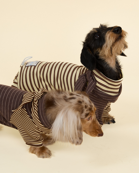 Canelé Striped Dog Onesie
