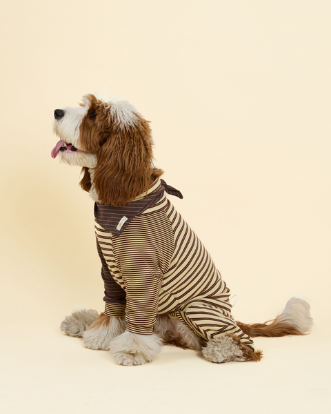Canelé Striped Dog Onesie