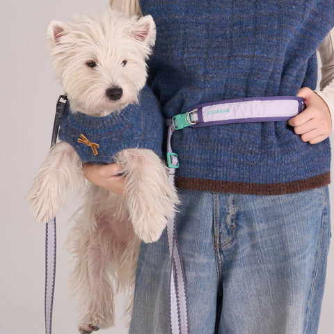 Taro Biscuit Hands-free Leash